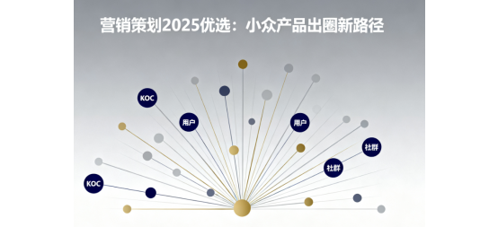 營銷策劃2025優(yōu)選：小眾產(chǎn)品出圈新路徑
